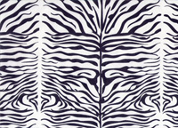 Bobinas Papel Fantasia